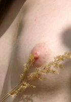 ATK Archives: Eva (Eva in nudism)