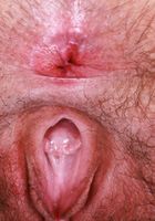 Gigi from ATK Natural & Hairy