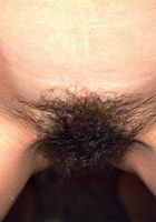 ATK Exotics: Gloria (Gloria in latinas)