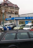 ATK Archives: Gwen (Qwen spreads her pussy)