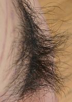 ATK Exotics: Hana (Hana in amateur)