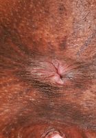 Hazel Grace Ebony Pussy Gaping, Hazel Grace (haz015) ATK Petites: Hazel Grace (Hazel Grace Ebony Pussy Gaping)