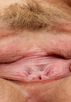Hairy Heidi fucks a dildo, Heidi Hanson (hei013) ATK Natural & Hairy: Heidi Hanson (Hairy Heidi fucks a dildo)