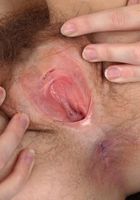 Honey Suckle in young and hairy, Honey Suckle (hon019) ATK Natural & Hairy: Honey Suckle (Honey Suckle in young and hairy)