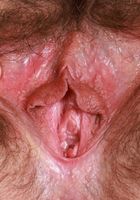 Jackie Hoff from ATK Natural & Hairy