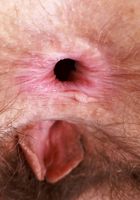 ATK Natural & Hairy: Jackie Hoff (Jackie Hoff tries on some sheer lacey lingerie)