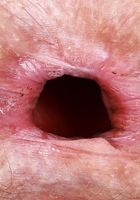 ATK Petites: Jackie Hoff (Jackie Hoff is sexy and sweet)