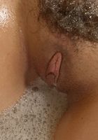 Jasmine in latinas, Jasmine (jas019) ATK Exotics: Jasmine (Jasmine in latinas)