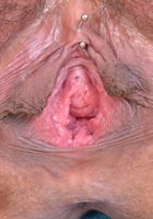 Jaye Summers strips it and spreads., Jaye Summers (jay045) ATK Natural & Hairy: Jaye Summers (Jaye Summers strips it and spreads.)