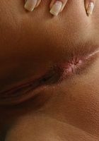 Jersey from ATK Archives