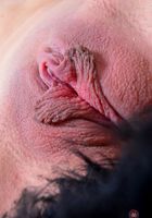 Jessica gives up her young pink pussy, Jessica Rex (jes760) ATK Premium: Jessica Rex (Jessica gives up her young pink pussy)