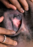 Jezebel from ATK Natural & Hairy