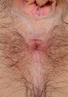 Joey spreading out on the couch., Joey Minx (joe016) ATK Natural & Hairy: Joey Minx (Joey spreading out on the couch.)