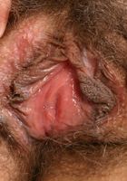 ATK Natural & Hairy: Josie (Josie in exotic and hairy)