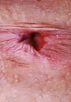 ATK Petites: Julia James (Julia James is an angel in green)