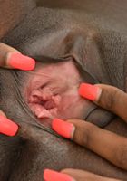 Kandie Monaee in black women, Kandie Monaee (kan021) ATK Exotics: Kandie Monaee (Kandie Monaee in black women)