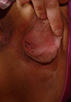 Kathleen in upskirts and panties, Kathleen (kat126) ATK Exotics: Kathleen (Kathleen in upskirts and panties)