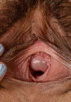 Kimberly Chi in exotic and hairy, Kimberly Chi (kim066) ATK Petites: Kimberly Chi (Kimberly Chi in exotic and hairy)