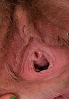 ATK Natural & Hairy: Lauren Laurent (Lauren Laurent in young and hairy)