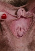 Lauren Laurent in young and hairy, Lauren Laurent (lau067) ATK Natural & Hairy: Lauren Laurent (Lauren Laurent in young and hairy)
