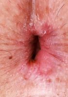 ATK Galleria: Leda Lotharia (Leda Lotharia in Pink Panties)