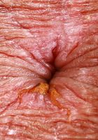 ATK Exotics: Leila Mills (Leila Mills is looking fresh and perky)