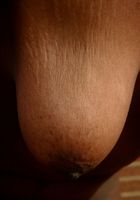 ATK Exotics: Lena (Lena in black women)