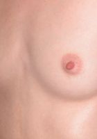 ATK Archives: Lucy (Lucy comfortable at home)