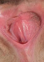 Maci spreads her tight slippery pink hairy pussy, Maci May (mac016) ATK Natural & Hairy: Maci May (Maci spreads her tight slippery pink hairy pussy)