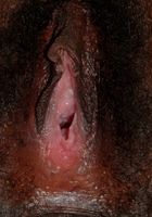 Miltie in black women, Miltie (mil020) ATK Exotics: Miltie (Miltie in black women)