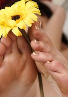 ATK Exotics: Minnie Boom (Minnie Boom in asians)