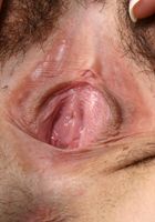 Monkee in young and hairy, Monkee (mon091) ATK Natural & Hairy: Monkee (Monkee in young and hairy)