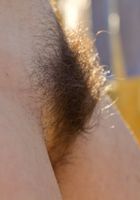 ATK Archives: Mona (Hairy Aussie Mona shows off her fur)