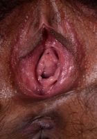 Nenetl Avril in exotic and hairy, Nenetl Avril (nen002) ATK Natural & Hairy: Nenetl Avril (Nenetl Avril in exotic and hairy)