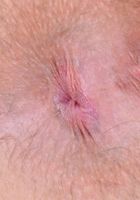 Nickey does some nasty horny spreads., Nickey Huntsman (nic093) ATK Natural & Hairy: Nickey Huntsman (Nickey does some nasty horny spreads.)