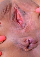 Nicole Bexley shows that amazing tan skin, Nicole Bexley (nic097) ATK Exotics: Nicole Bexley (Nicole Bexley shows that amazing tan skin)