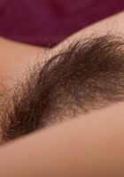 Hairy Nora makes her debut, Nora (nor011) ATK Natural & Hairy: Nora (Hairy Nora makes her debut)