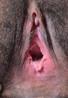 Olivia Green in exotic and hairy, Olivia Green (oli032) ATK Natural & Hairy: Olivia Green (Olivia Green in exotic and hairy)