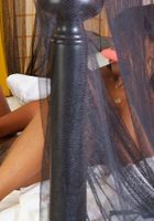 Passion from ATK Exotics