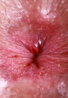 ATK Natural & Hairy: Pearl Sage (Pearl Sage takes center stage)