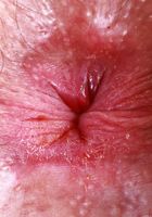 ATK Natural & Hairy: Pearl Sage (Pearl Sage takes center stage)