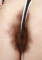 Pearl Sage in hairy fun, Pearl Sage (pea013) ATK Natural & Hairy: Pearl Sage (Pearl Sage in hairy fun)