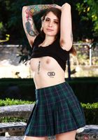 Pearl Sage Outdoor Skirt Strip, Pearl Sage (pea013) ATK Natural & Hairy: Pearl Sage (Pearl Sage Outdoor Skirt Strip)