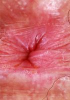 Pearl Sage from ATK Natural & Hairy