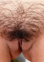 Penelope Reed in latinas, Penelope Reed (pen027) ATK Exotics: Penelope Reed (Penelope Reed in latinas)