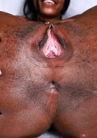 ATK Exotics: Poppy Cox (Poppy Cox Holiday Cheer and Spreading)