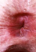 ATK Petites: Riley Rose (Riley Rose gets down and dirty)