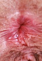 ATK Galleria: Sahara Skye (Sahara Skye is eye-catching in green)