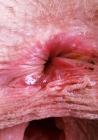 ATK Natural & Hairy: Sahara Skye (Sahara Skye rockin' the cow-print bikini)