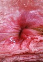 ATK Natural & Hairy: Sahara Skye (Sahara Skye wants you to smell her flower)